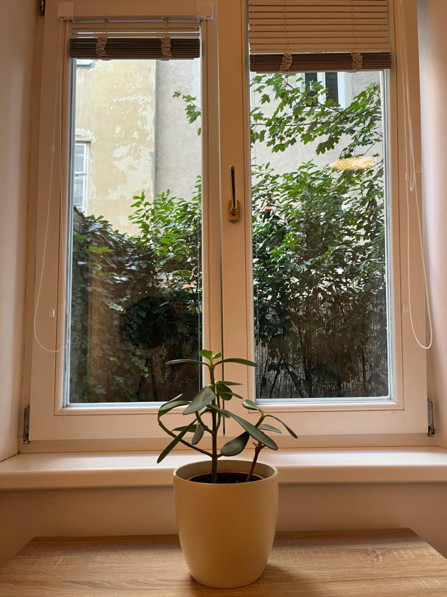 Quiet Apartment Next To Belvedere & Central Station ウィーン エクステリア 写真